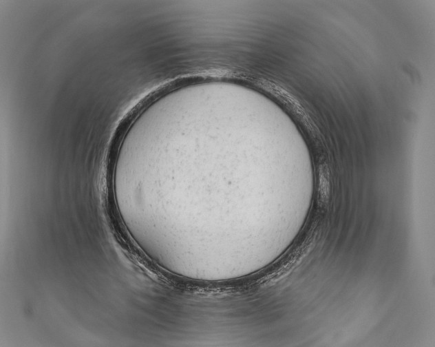 X0000110960532200907101329