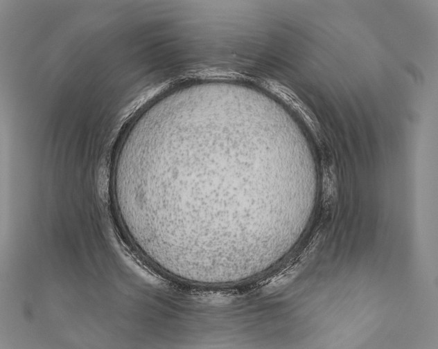 X0000110960533200907101329