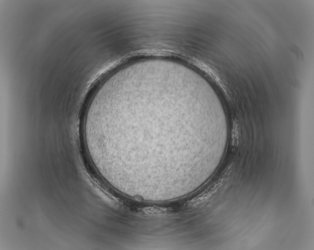 X0000110960535200907101329