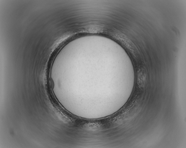 X0000110960536200907101329