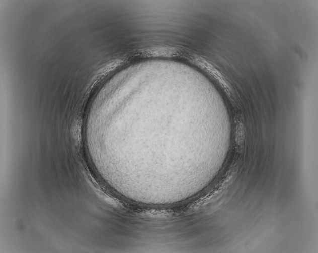 X0000110960537200907101329