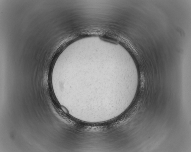 X0000110960538200907101329