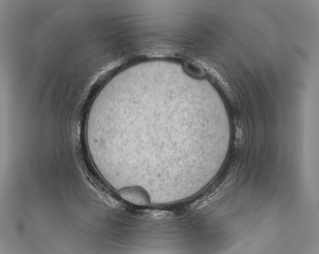 X0000110960539200907101329