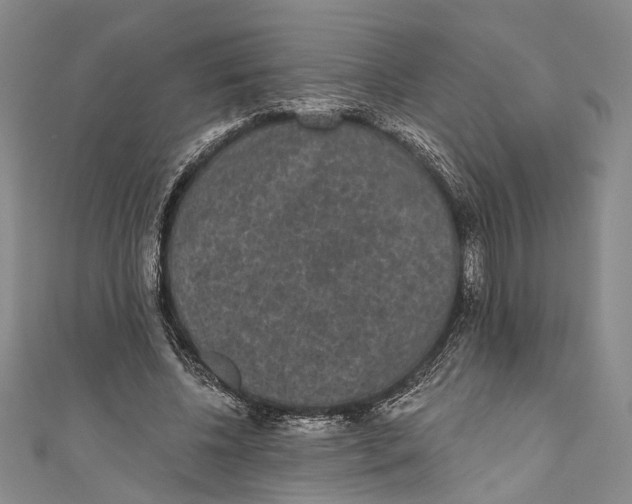 X0000110960540200907101329