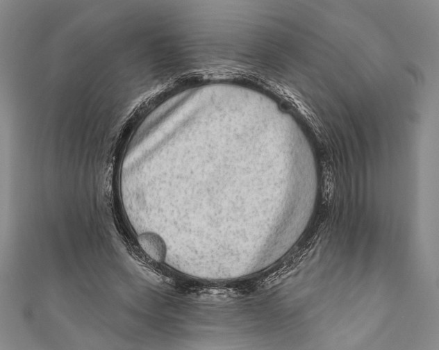 X0000110960543200907101329