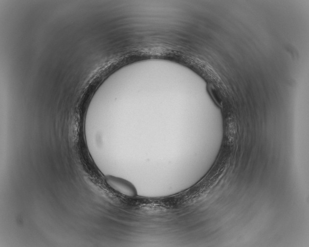 X0000110960544200907101329