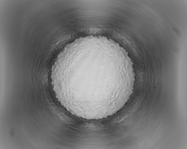 X0000110960545200907101329