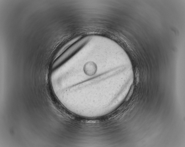 X0000110960546200907101329