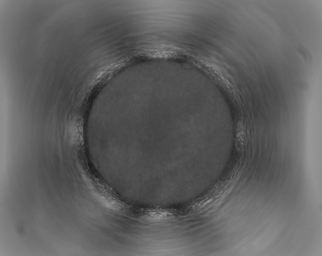 X0000110960547200907101329