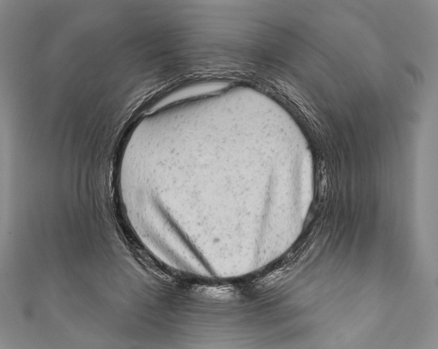 X0000110960548200907101329