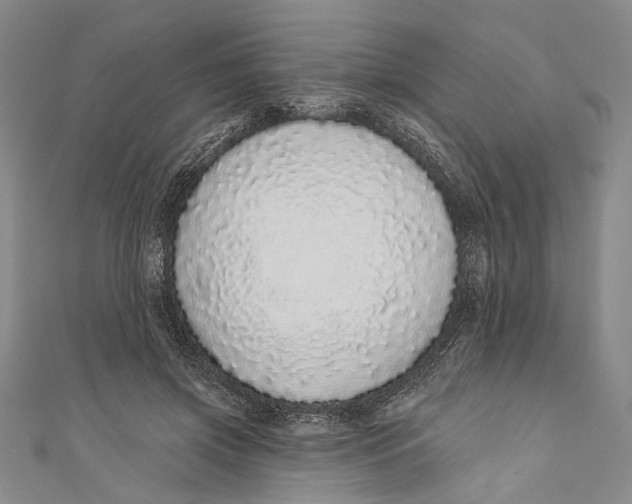 X0000110960549200907101329