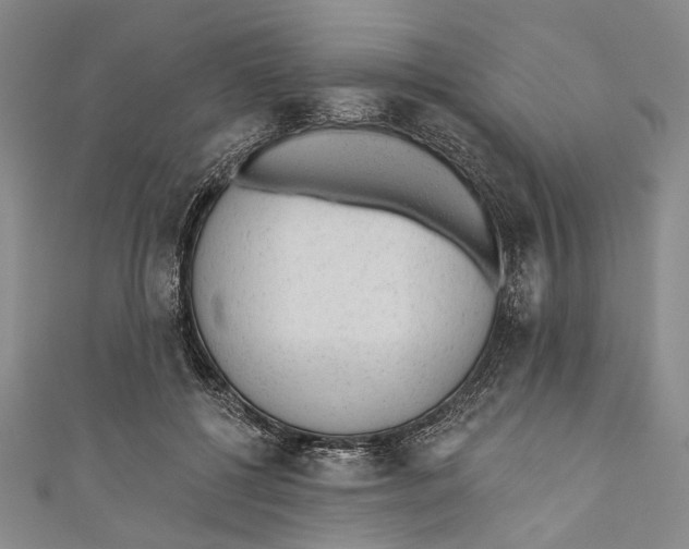 X0000110960552200907101329