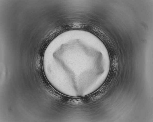 X0000110960554200907101329