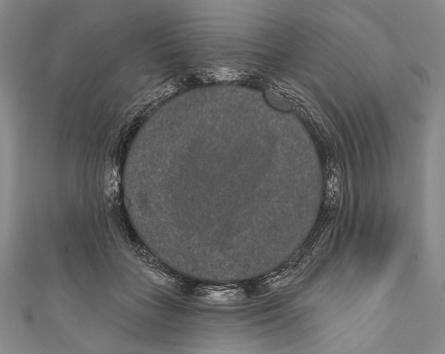 X0000110960555200907101329