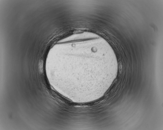 X0000110960556200907101330