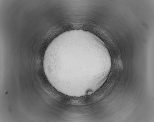 X0000110960557200907101330