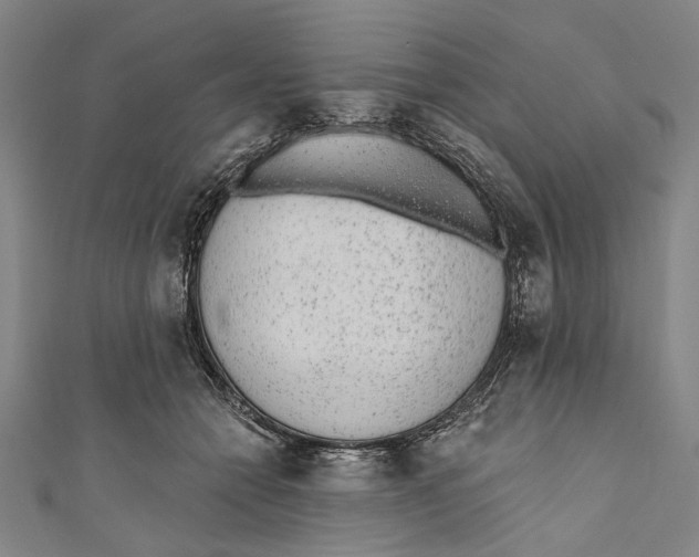 X0000110960558200907101330