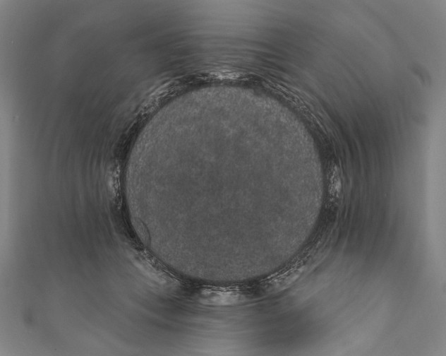 X0000110960559200907101330