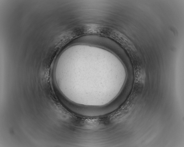 X0000110960560200907101330