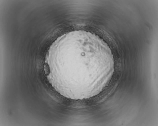 X0000110960561200907101330