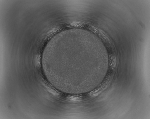 X0000110960563200907101330