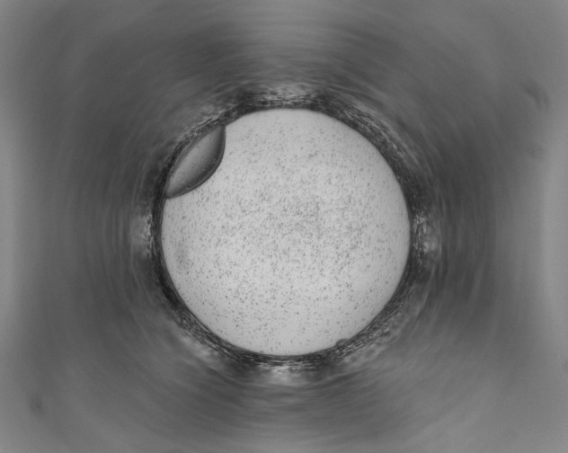 X0000110960564200907101330