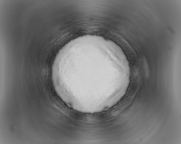 X0000110960565200907101330