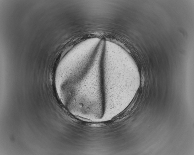 X0000110960566200907101330