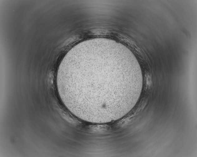 X0000110960567200907101330