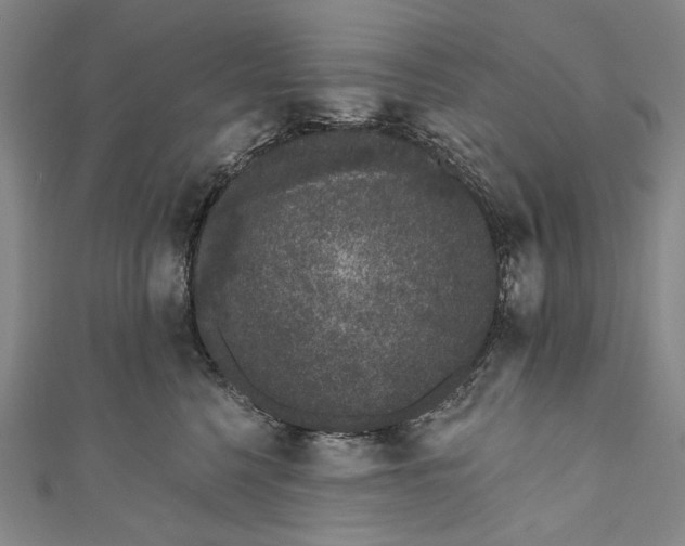 X0000110960568200907101330