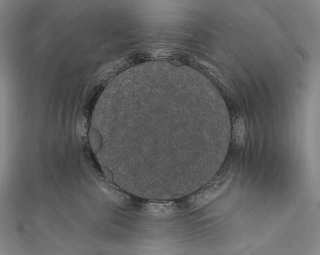 X0000110960571200907101330