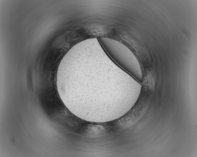 X0000110960572200907101330