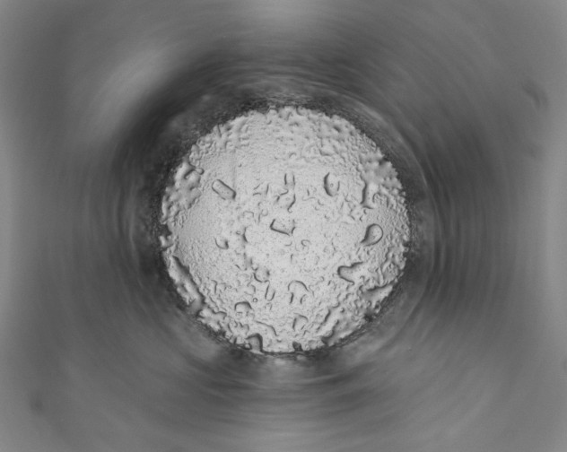 X0000110960573200907101330