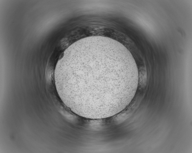 X0000110960574200907101330