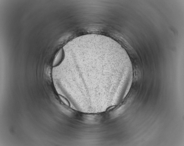 X0000110960575200907101330