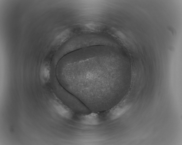 X0000110960576200907101330