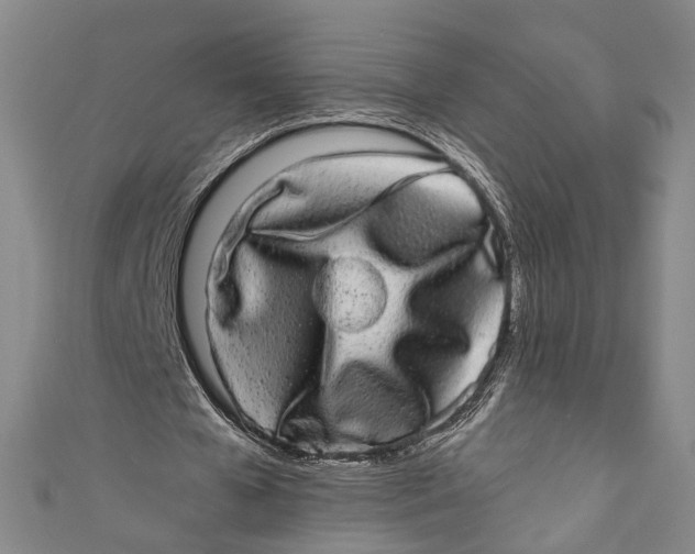 X0000110960577200907101329