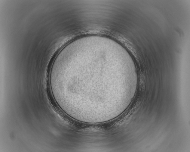 X0000110960578200907101329