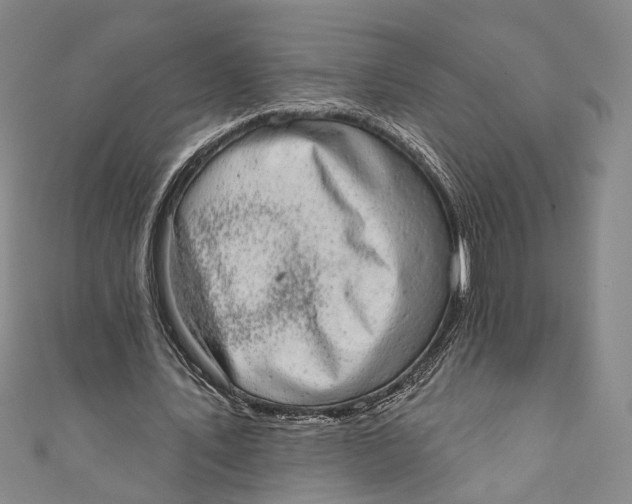 X0000110960579200907101329