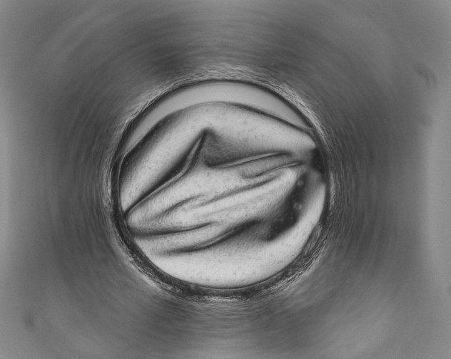 X0000110960581200907101329