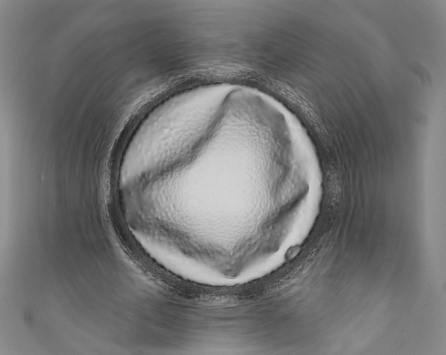 X0000110960582200907101329