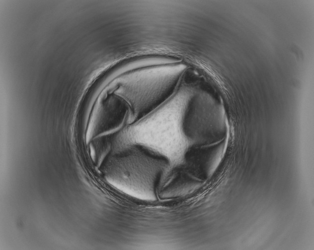 X0000110960583200907101329