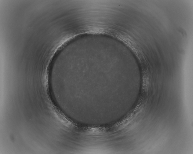 X0000110960584200907101329