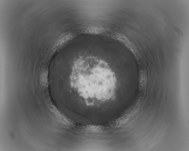 X0000110960585200907101329