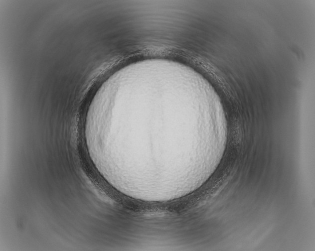 X0000110960586200907101329