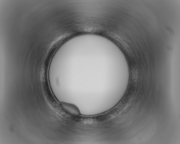 X0000110960587200907101329