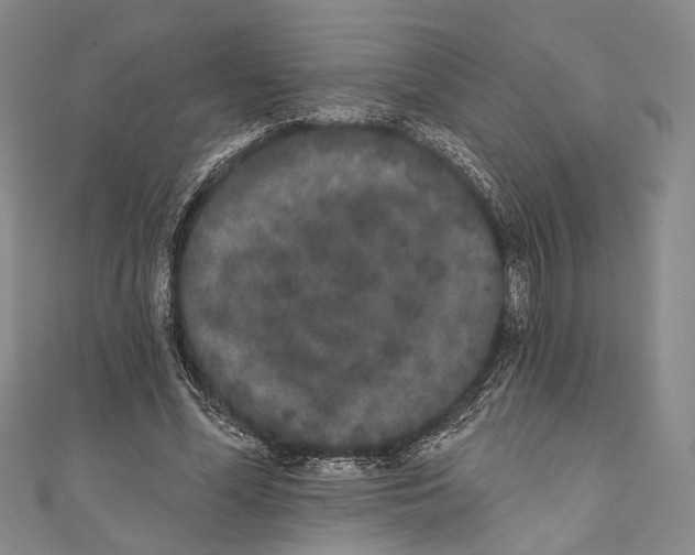 X0000110960588200907101329