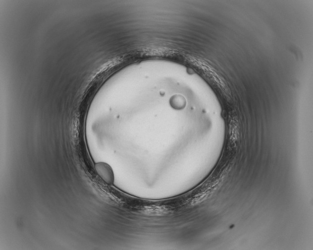 X0000110960591200907101329