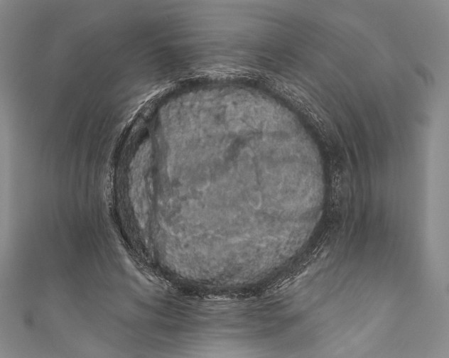 X0000110960592200907101329