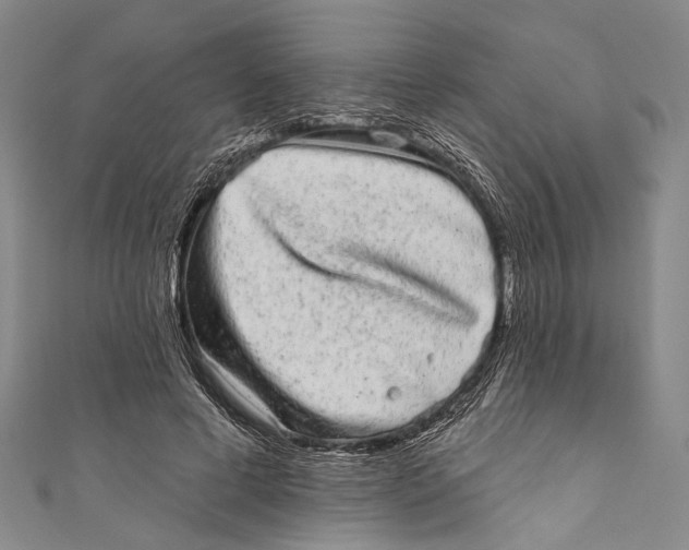 X0000110960593200907101329